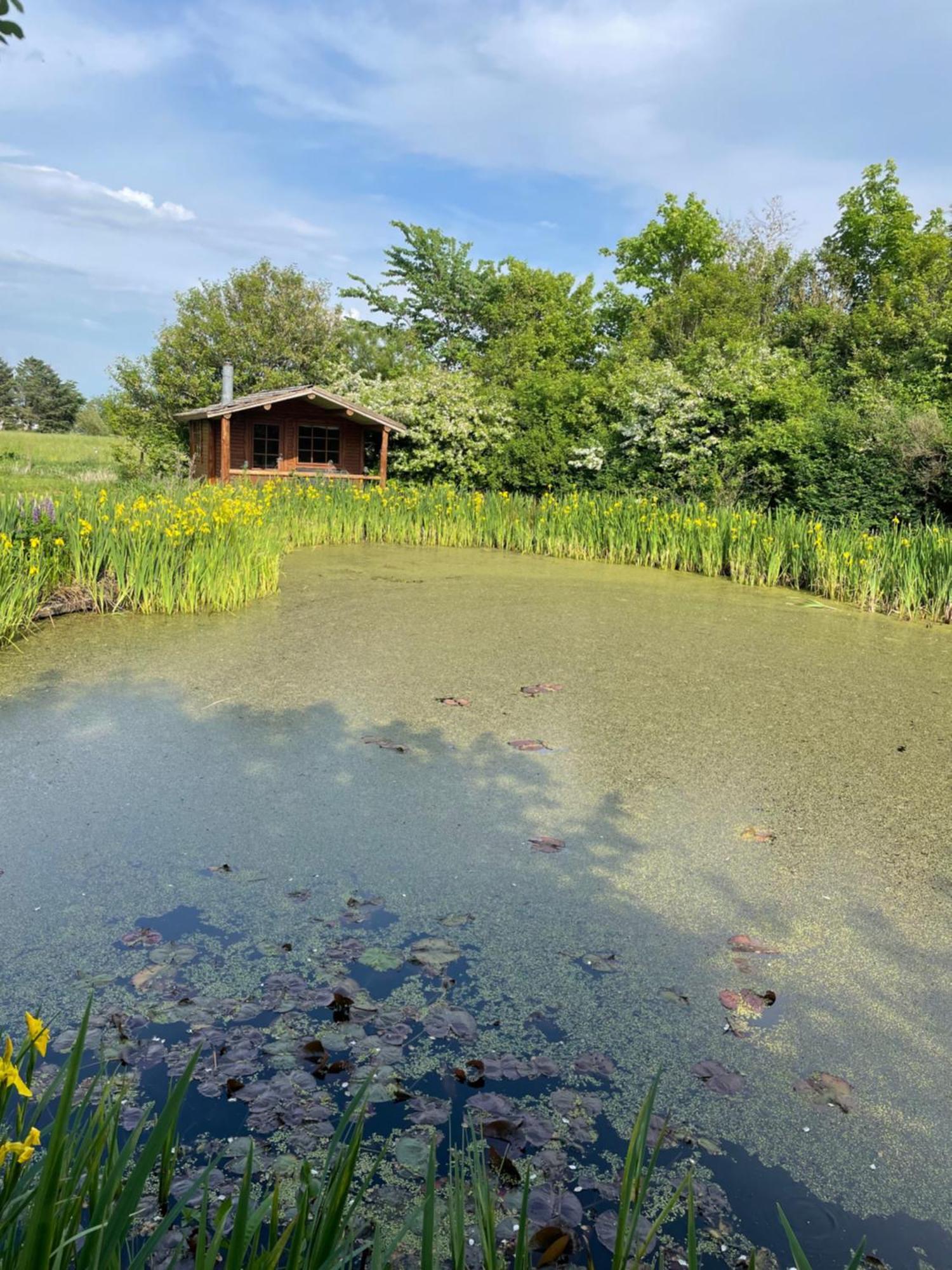 Lille Degnbol Holiday House Екстер'єр фото